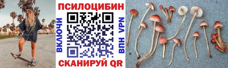 Галлюциногенные грибы мицелий  Купить закладки  Могоча 